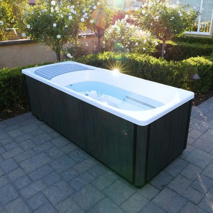 Kodiak 1 person Hot Tub /Cold Plunge - White/grey - 120v/240v with Heat/Cool Pump